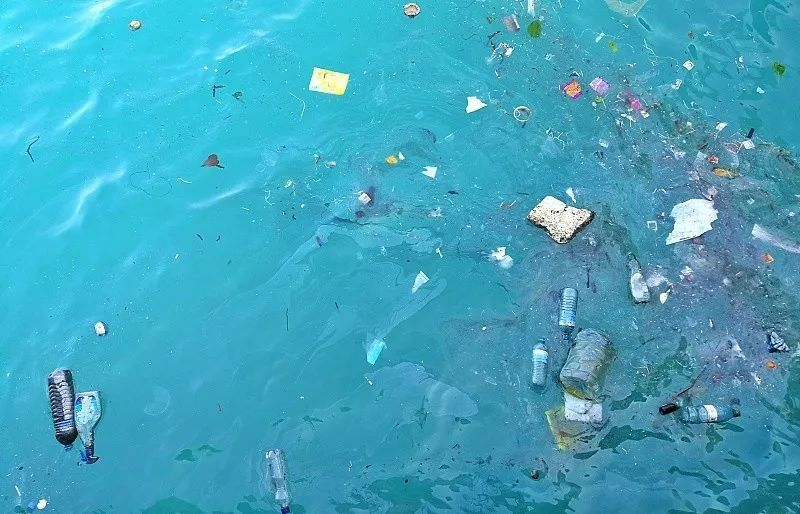 环保、纸吸管