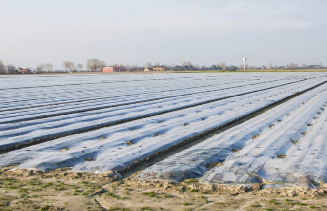 薄膜、地膜、回收