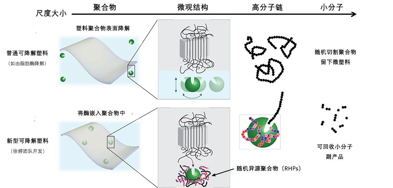 可降解塑料、环保、再生资源