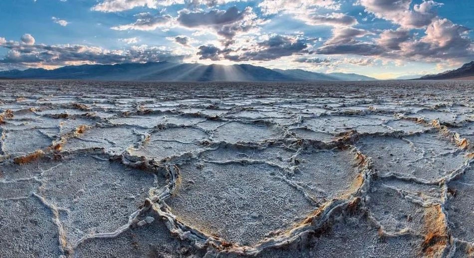 化工行业、PP、PE