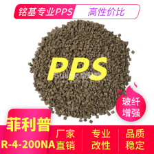 PPS替代 R-4-200NA 菲利普本色
