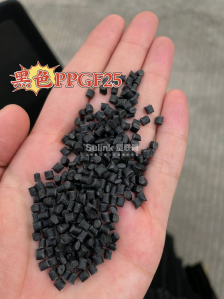 PPGF25